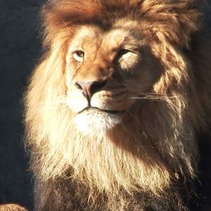 Meet your Posher, Alejandro